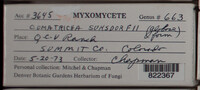 Image Associated With the Occurence